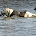 Jerome Heinz Photo 4