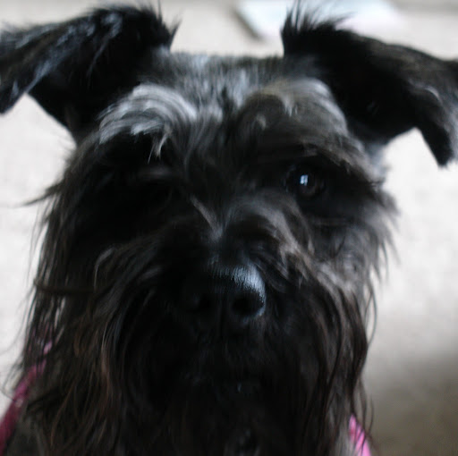Brenda Holmes Photo 41