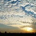 Himanshu Patel Photo 24