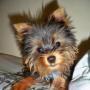 Kelly Vanderpool Photo 15