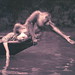 Monica Colbert Photo 11