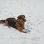 Linda Keyser Photo 29