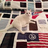Anne Levine Photo 20