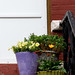 Mark Ratner Photo 39