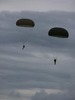 Todd Lester Photo 15