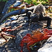 Sally Marsh Photo 42