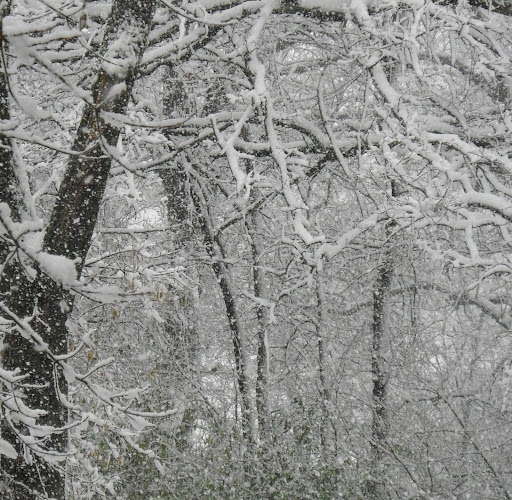 Linda Crawford Photo 35