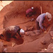 Paul Workman Photo 5