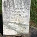 Elizabeth Weaver Photo 16
