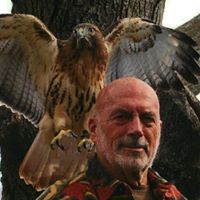 Robert Saunders Photo 36