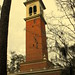 Stephen Foster Photo 57