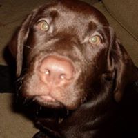 Kimberly Blaser Photo 9