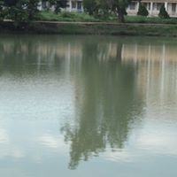 Hoai Ngo Photo 22
