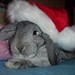 Delilah Winters Photo 10