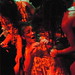 Bill Perdue Photo 13