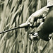 Reed Welch Photo 17