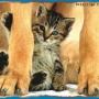 Linda Mccarty Photo 45