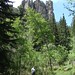 Christopher Custer Photo 14
