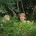 Ellen Phipps Photo 6