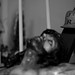 Jesus Bello Photo 13