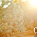 Christina Greer Photo 54