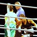 Priscilla Robinson Photo 11