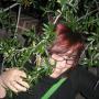 Erica Butler Photo 24