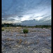 Aaron Draper Photo 14