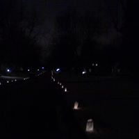 Deborah Morrill Photo 10