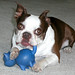Clyde Stewart Photo 17