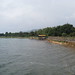 Zong Yang Photo 11