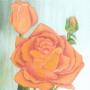 Joy Thacker Photo 12