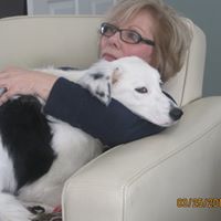 Sandra Dempsey Photo 33