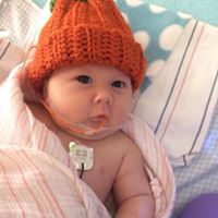 Debra Rupp Photo 12