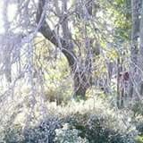 Stephanie Raymond Photo 7