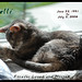 Kelli Love Photo 21