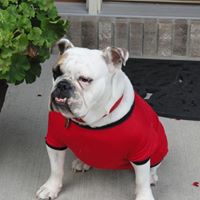 Dean Rhoades Photo 10