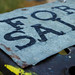 Bruce Weir Photo 29