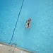 Elizabeth Pool Photo 40