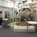 Ruth Bird Photo 27