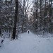 Jeanne Ryan Photo 16