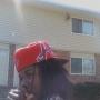 Timothy Bush Photo 11
