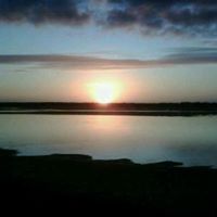 Anne Clements Photo 28
