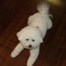 Lisa Worthington Photo 31
