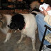 Virginia Kuhn Photo 20