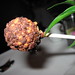 David Burke Photo 43