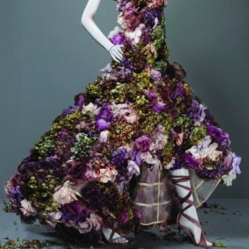 Helena Lira Photo 15
