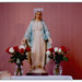 Mary Flores Photo 16