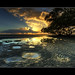 Steven Ripple Photo 14