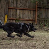 Judy Phipps Photo 26